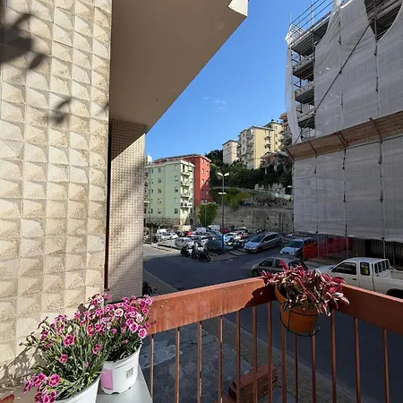 Zuly House Savona