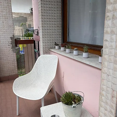 Zuly House Savona